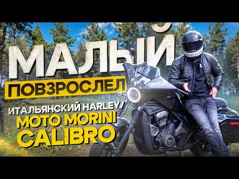 Видео: Итальянский Harley для новичков - Moto Morini Calibro