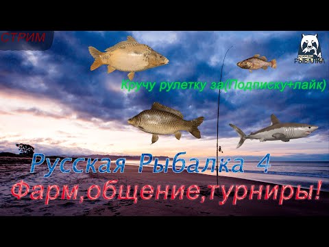 Видео: Русская рабылка 4.Аккаунт универсал