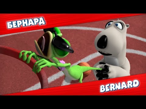 Видео: БЕРНАРД: Баскетбол и многое другое | Подборка серий