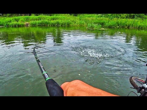 Видео: ЭТО НЕ ПРОСТО КЛЁВ А УЖЕ ЖОР! ПОКЛЁВКА НА ПОКЛЁВКЕ! Рыбалка на спиннинг 2023.