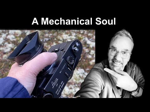 Видео: Leica M4: честный первый месяц фотографа