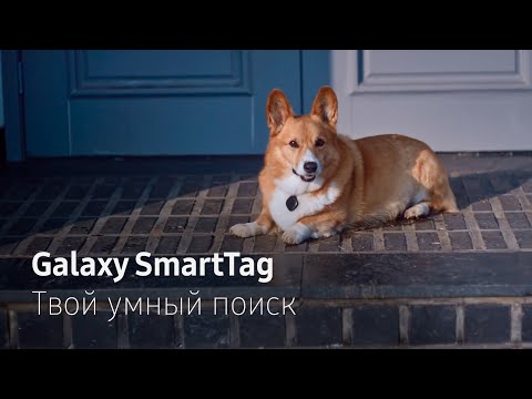 Видео: Galaxy SmartTag | Твой умный поиск