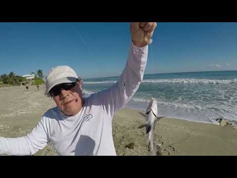Видео: Каменный пляж.Рыбалка.Stone beach. Florida. Fishing.