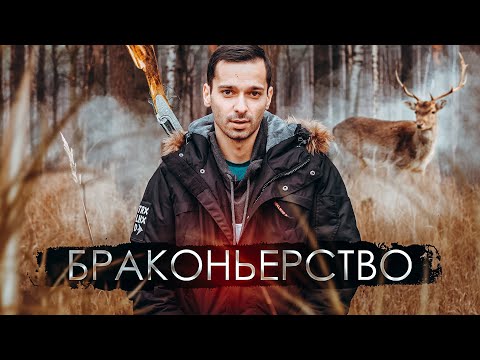 Видео: КАК ЛЮДИ ИСТРЕБИЛИ РЕДКИХ ЖИВОТНЫХ? [ГЕО ПЛЕНЕТ]