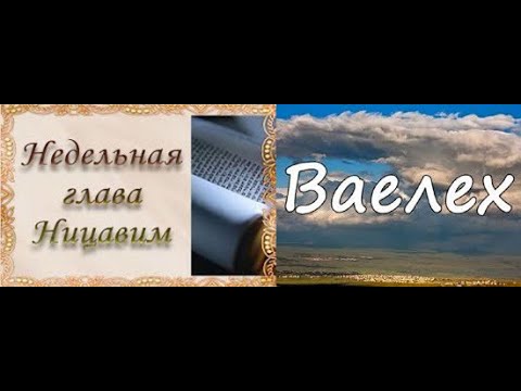 Видео: Главы Ницавим и Ваелех 5786 - рав Даниэль Булочник