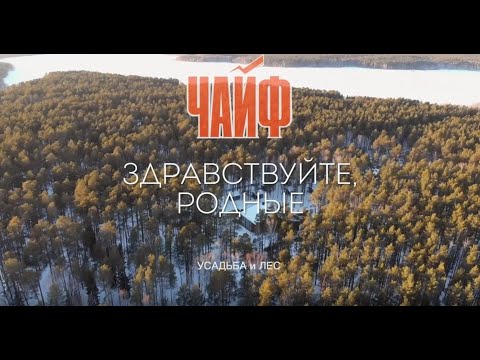 Видео: ЧАЙФ -- "Здравствуйте, родные!"