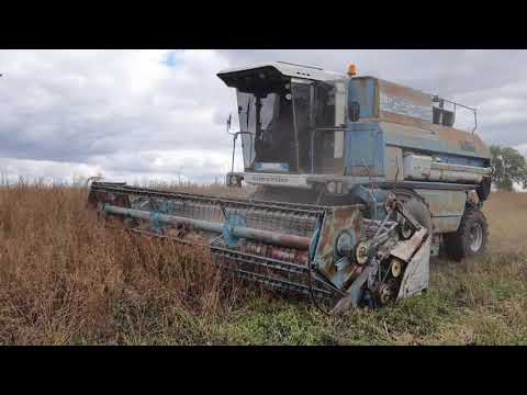 Видео: КЗС-9.1 Славутич. Жнива 28.09.2021 Гречка.  Хмельницька область