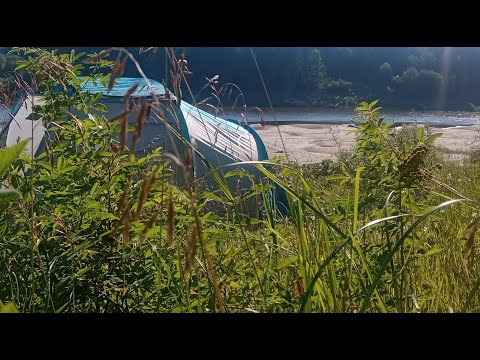 Видео: Мы и Ветлуга .