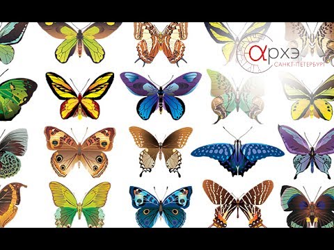 Видео: Курс "Занимательная энтомология" от Олега Валерского