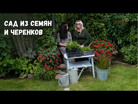 Видео: Сад из семян и черенков // Ландшафтный дизайн - это просто! Сезон 4