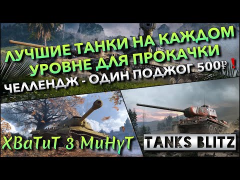 Видео: 🔴Tanks Blitz ЛУЧШИЕ ТАНКИ НА КАЖДОМ УРОВНЕ ДЛЯ ПРОКАЧКИ🔥 ЧЕЛЛЕНДЖ - ОДИН ПОДЖОГ 500₽❗️