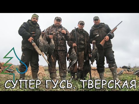 Видео: Гусь и быт! Охота на гуся весной 2021 г. на поле Тверской области. Открытие охоты и другие дни.