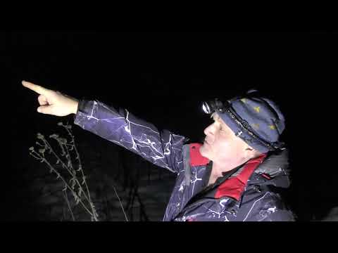 Видео: Пасека на связи 14