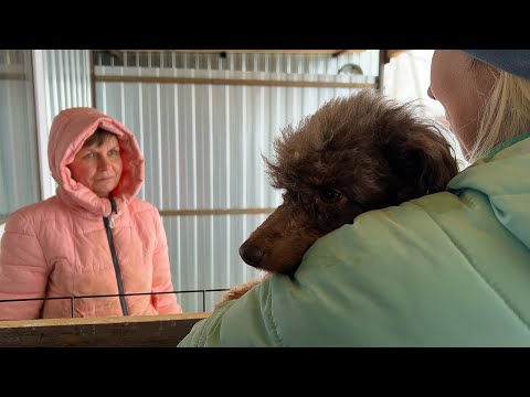 Видео: Дочку хотят забрать в семью, а на отце от этого лица не видно...