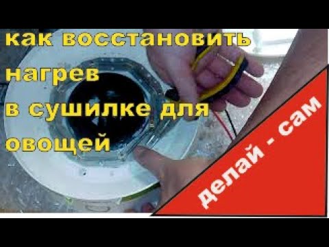 Видео: Делай Сам -  Ремонт сушилки для овощей и фруктов - не сушит