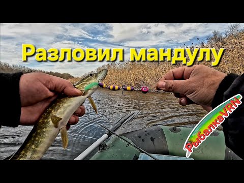 Видео: [2025]Рыбалка на спиннинг в ноябре 2