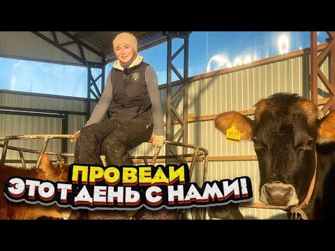 Видео: Семейная ферма ЗИМОЙ | Молодая Ферма