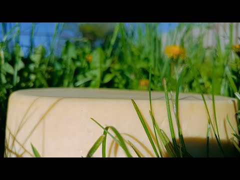 Видео: сыр весенний "Аромат" авторский быстрый