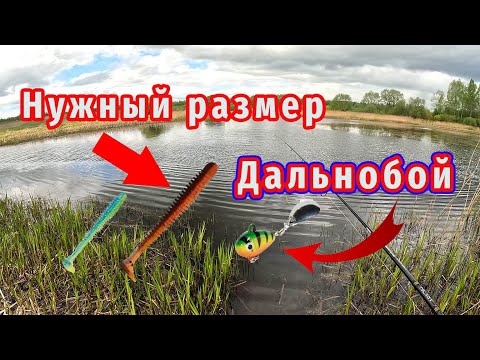 Видео: Удивительная Рыбалка на щуку при изменении погоды! Тяну щуку руками!