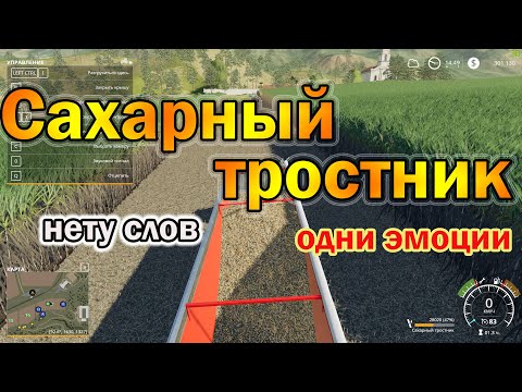 Видео: Farming Simulator 19 - Сахарный тростник, так ли сладок?