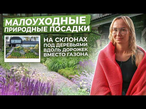 Видео: Малоуходные посадки в природном стиле