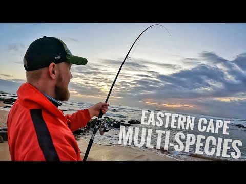 Видео: Ловля белой окуня в прибое и большого чернохвостого окуня в скалах!