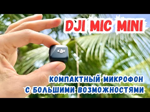 Видео: DJI Mic Mini без ресивера лучший компактный микрофон для DJI Action 4, 5 и Osmo Mobile 7p и Pocket 3