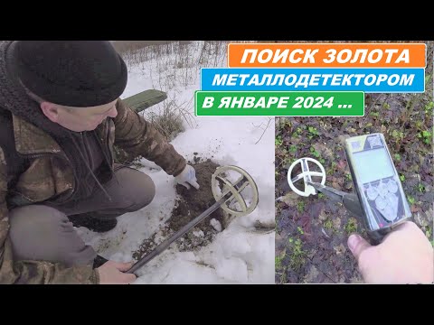 Видео: НАШЕЛ ЗОЛОТО под СНЕГОМ ! ЧУЙКА не ПОДВЕЛА! ЛУЧШЕЕ ЗА ЯНВАРЬ!
