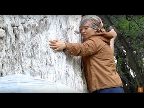 Видео: Киелі ағаш