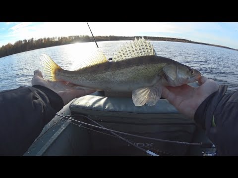 Видео: СУПЕР рыбалка ,ЧАСТЬ 2 Яузское водохранилище 21.10.2018 год.