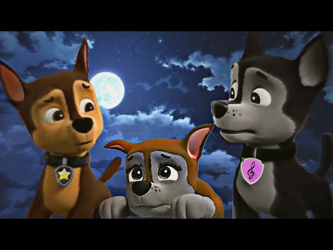 Видео: Гончик, Грэй и Лили-Зуб за зуб