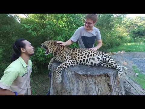 Видео: Водопад Hin Lat на Самуи. Zip Line. Фото с леопардом