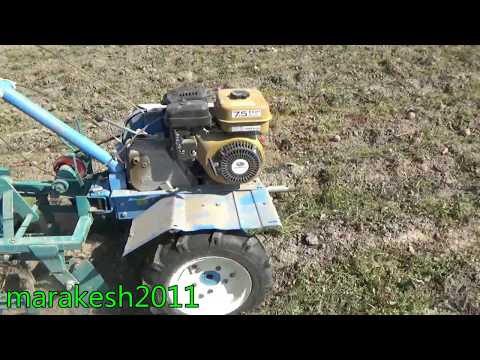 Видео: Мотоблок Нева МБ-2(копаем картошку).