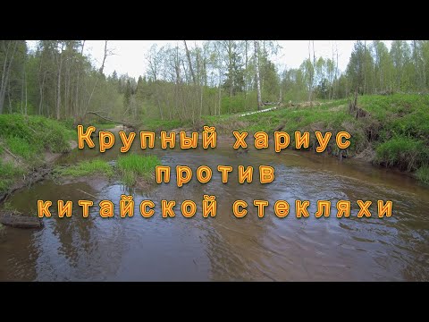 Видео: Микроречка.  Крупный хариус против китайской стекляхи