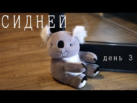 Видео: Сидней - день 3: Бонда́й-Бич, Дарлинг-Харбор, Сиднейский Рыбный Рынок и Конная полиция Австралии!