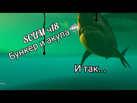 Видео: SCUM ч18 бункер и акула