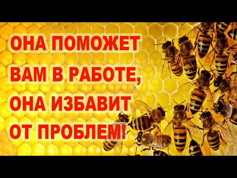 Видео: Она поможет вам в работе, она избавит от проблем!