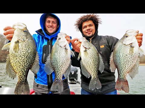 Видео: Как поймать гигантского 2-3-фунтового краппи на LIVESCOPE! (Рыбалка на краппи на озере Гантерсвилл!)