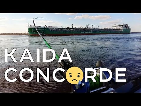 Видео: Kaida Concorde: бюджетник для троллинга