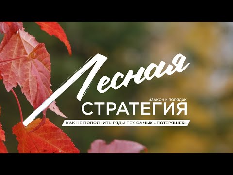 Видео: Закон и порядок: Лесная стратегия