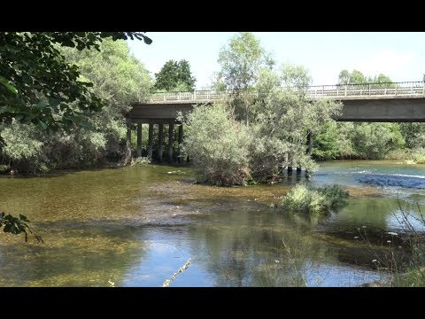 Видео: Придошла река повлече две деца в Йоаким Груево