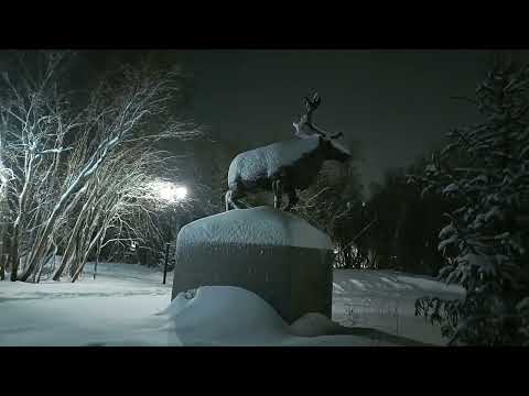 Видео: Воркута. 04.12.24.  Снег кружится, летает, летает.......❄️❄️❄️