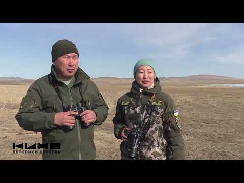 Видео: Министерство природных ресурсов Республики Бурятия (на русском языке)