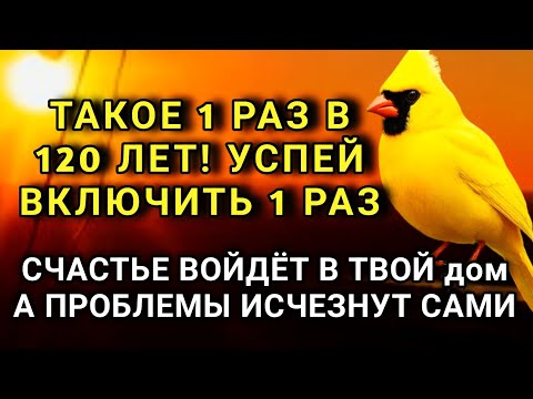 Видео: УСПЕЙ ВКЛЮЧИТЬ 1раз! СЧАСТЬЕ ВОЙДЁТ В ДОМ, А ПРОБЛЕМЫ ИСЧЕЗНУТ САМИ! Это Чудо 🔊🤲✨🔑💯