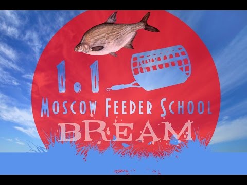 Видео: Moscow Feeder School "Ловля леща" 1.1(Московская фидерная школа)