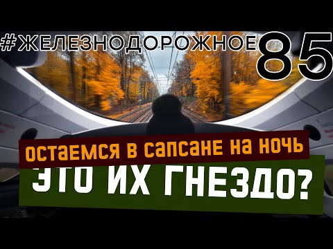 Видео: Сапсан по маршруту: Санкт-Петербург - Металлострой  #железнодорожное - 85 серия