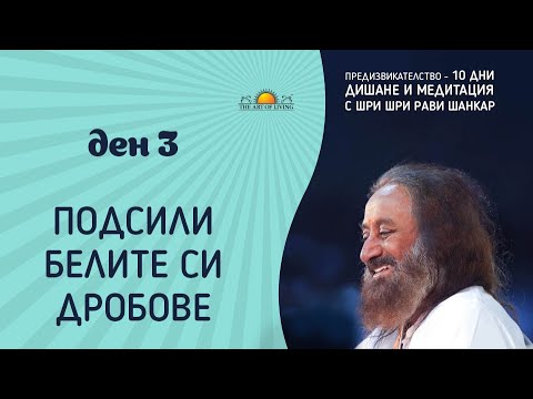 Видео: ДЕН 3: ПОДСИЛИ БЕЛИТЕ СИ ДРОБОВЕ | Шри Шри Рави Шанкар | 10-дневно предизвикателство