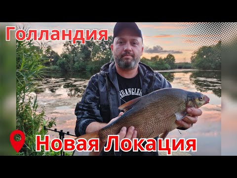 Видео: КЛЕВОЕ место в Голландии : ЛЕЩИ Атакуют !!!
