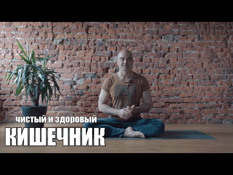 Видео: Кишечник и здоровье