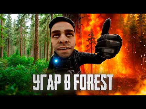 Видео: ТРИ ЕБЛАНА в ЛЕСУ (леса больше нет)